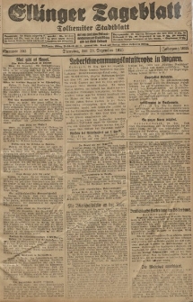 Elbinger Tageblatt, Nr. 303 Dienstag 29 Dezember 1925