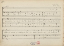 O du der gr&auml;nen...an Miss Stooks