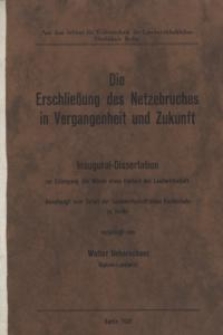 Die Erschliessung des Netzebruches in Vergangenheit und Zukunft