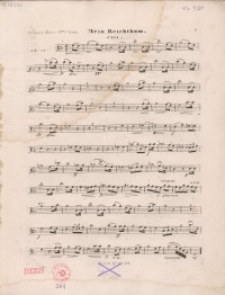 Mein Reichtum : Viola