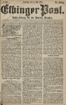 Elbinger Post, Nr. 85, Sonntag 5 Juli 1874, 41 Jh