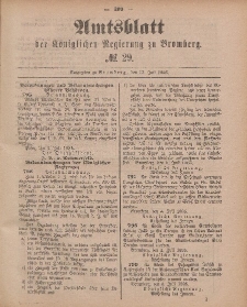 Amtsblatt der Königlichen Preußischen Regierung zu Bromberg, 17. Juli 1885, Nr. 29