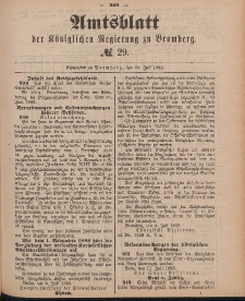 Amtsblatt der Königlichen Preußischen Regierung zu Bromberg, 20. Juli 1888, Nr. 29