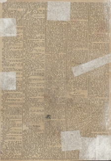 Elbinger Zeitung und Elbinger Anzeigen, Nr. 150 Sonntag 30. Juni 1889