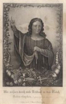 Allgemeine Geschichte der mittleren Zeit mit besonderer Berücksichtigung der Kirchen-und Staatengeschichte für alle Stände