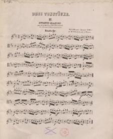 Drei Tonstücke : (Bratsche) : III