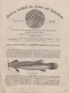 Globus. Illustrierte Zeitschrift für Länder...Bd. XXXII, Nr.20, 1877