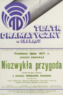 Niezwykła przygoda – afisz