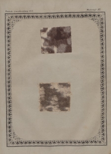 Deutsche Gewerbezeitung, Jahrg. XVIII. 1. Oktober - 15. November, 1853