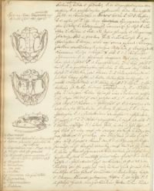 Vorlesungen über Zootomie auf der Albertina