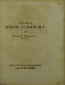 Drusis gemmifera, sive Gemmarum Elbingensium detectio