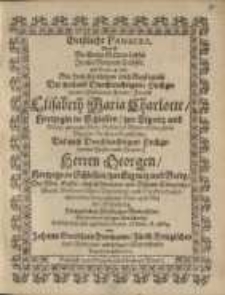 Geistliche Panacea, das ist Der Kinder Gottes Labsal in aller Noth und Trübsal…