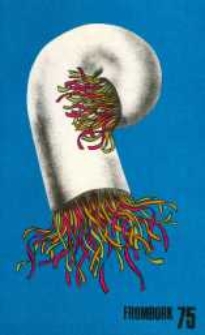 Frombork 75 – folder