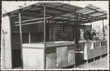 Elbląg – zdjęcie nr 6