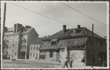 Elbląg – zdjęcie nr 16