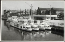 Elbląg – zdjęcie nr 22