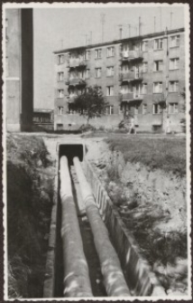 Elbląg – zdjęcie nr 28