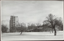 Elbląg – zdjęcie nr 52