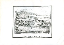 Schloss-Ruine in Frankenstein - odbitka