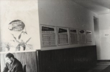 Sejmik Kulturalny Powiatu Elbląskiego - zdjęcie nr 20