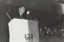 Sejmik Kulturalny Powiatu Elbląskiego - zdjęcie nr 28