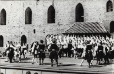 Malbork - zdjęcie nr 4