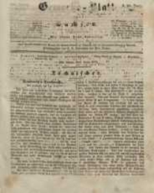 Gewerbe-Blatt für Sachsen. Jahrg. III, 21. Juni, nr 25.