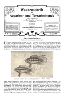 Wochenschrift für Aquarien und Terrarienkunde, 6. Jg. 1909, Nr. 24.