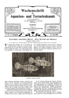 Wochenschrift für Aquarien und Terrarienkunde, 6. Jg. 1909, Nr. 25.