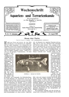 Wochenschrift für Aquarien und Terrarienkunde, 6. Jg. 1909, Nr. 34.