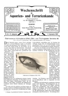 Wochenschrift für Aquarien und Terrarienkunde, 6. Jg. 1909, Nr. 36.
