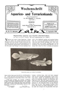 Wochenschrift für Aquarien und Terrarienkunde, 6. Jg. 1909, Nr. 38.