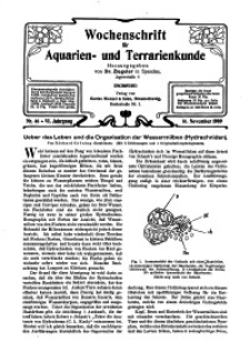 Wochenschrift für Aquarien und Terrarienkunde, 6. Jg. 1909, Nr. 46.