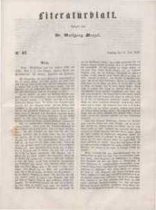 Literaturblatt, 1848, Dienstag, 13. Juni, Nr 42.