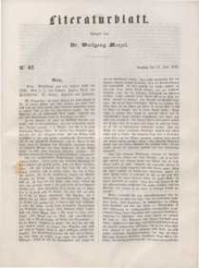 Literaturblatt, 1848, Dienstag, 13. Juni, Nr 42.