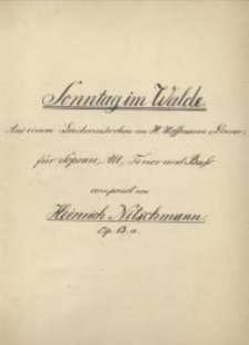 Sonntag im Walde Op. 13