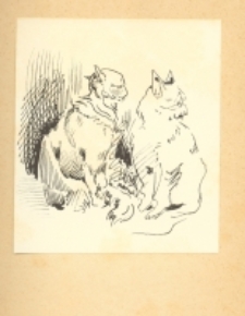 Zeichnungen und Graphiken