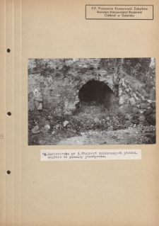 Kamieniczka nr 3. Fragment zniszczonych piwnic, wejście do przedproża