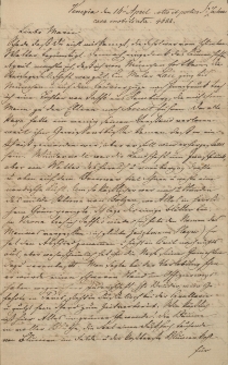 Florenz 1881 [wytłoczone na oprawie]