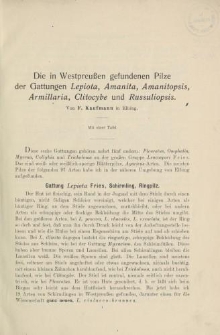 Die in Westpreussen gefundenen Pilze der Gattungen Lepiota, Amanita, Amanitopsis, Armillaria, Clitocybe und Russuliopsis